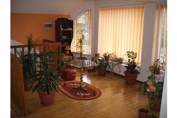 Viesu māja Piatra Neamţ 1